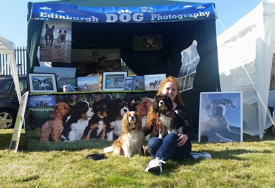 Edinburgh Dog Photography at an outdoor market